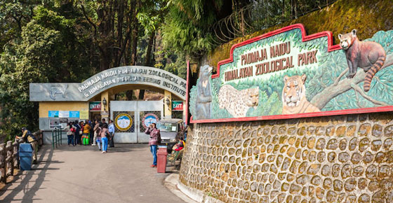 Darjeeling Zoo